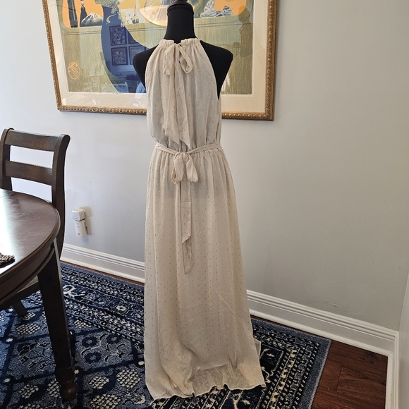 NWT Modcloth Illuminated Elegance Chiffon Halter Maxi Dress, Size L - Picture 15 of 16